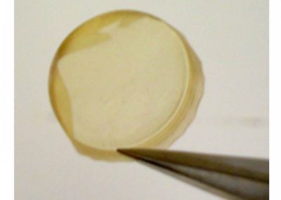 DÉVELOPPEMENT DE TOUT NOUVEAU TYPE DE BIOMATÉRIAUX