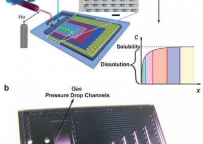 COMMENT SE DISSOUT LE DIOXYDE DE CARBONE?