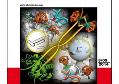 DISPERSION DE NANOTUBES DE CARBONE