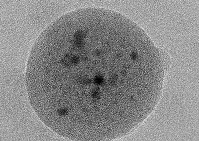 ENCAPSULATION DE POINTS QUANTIQUES POUR L&rsquo;IMAGERIE BIOMÉDICALE