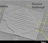 TECHNOLOGIE D&rsquo;ENCAPSULATION PAR SIC