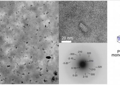 DES PARTICULES THERMORÉVERSIBLES POUR LA LIBÉRATION CONTRÔLÉE DE MÉDICAMENTS