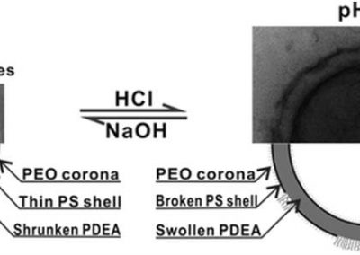 DES VESCICULES SENSIBLES AU PH POUR LA LIBÉRATION CONTRÔLÉE DE MÉDICAMENTS