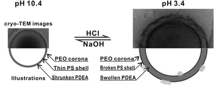 DES VESCICULES SENSIBLES AU PH POUR LA LIBÉRATION CONTRÔLÉE DE MÉDICAMENTS